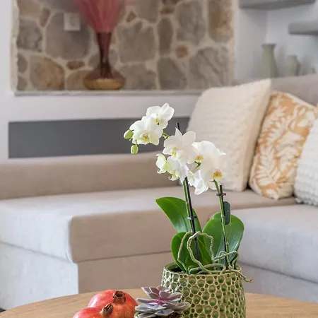 Dom wakacyjny Muca *